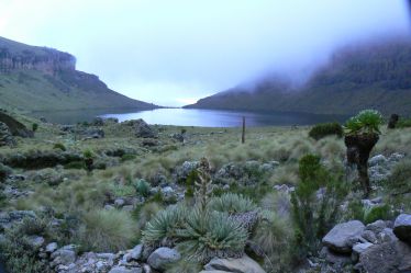 Piękno krajobrazów-Mt.Kenya 4300 m n.p