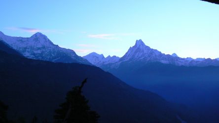 Świt wstaje nad himalajskim Machapuchare - 2006 r