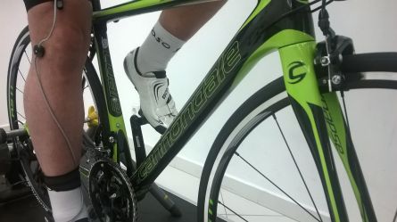 Cannocarbonowe cacuszko