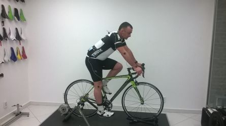 Synapse fitting 2015