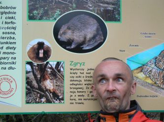 Bieszczadzki Zgryz Bobra- Pogona