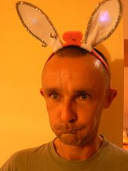 PP Bunny sylwestrowy